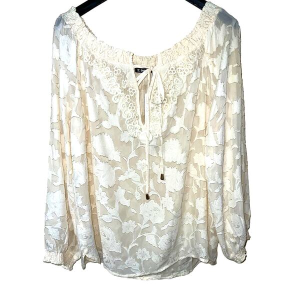 Sheilay Top Womens Large Sexy Sheer Blouse Chiffon Crochet Cottagecore Romantic - Picture 4 of 11